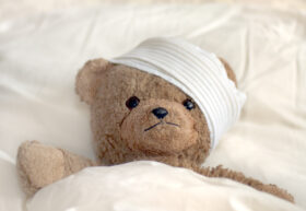 Teddy in hospital